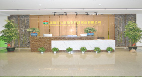 公司展示