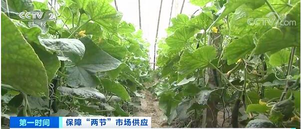 农产品配送了解到农业农村部：全国菜价呈下降趋势