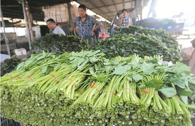 农产品配送了解哈尔滨市冬季种植叶菜上市